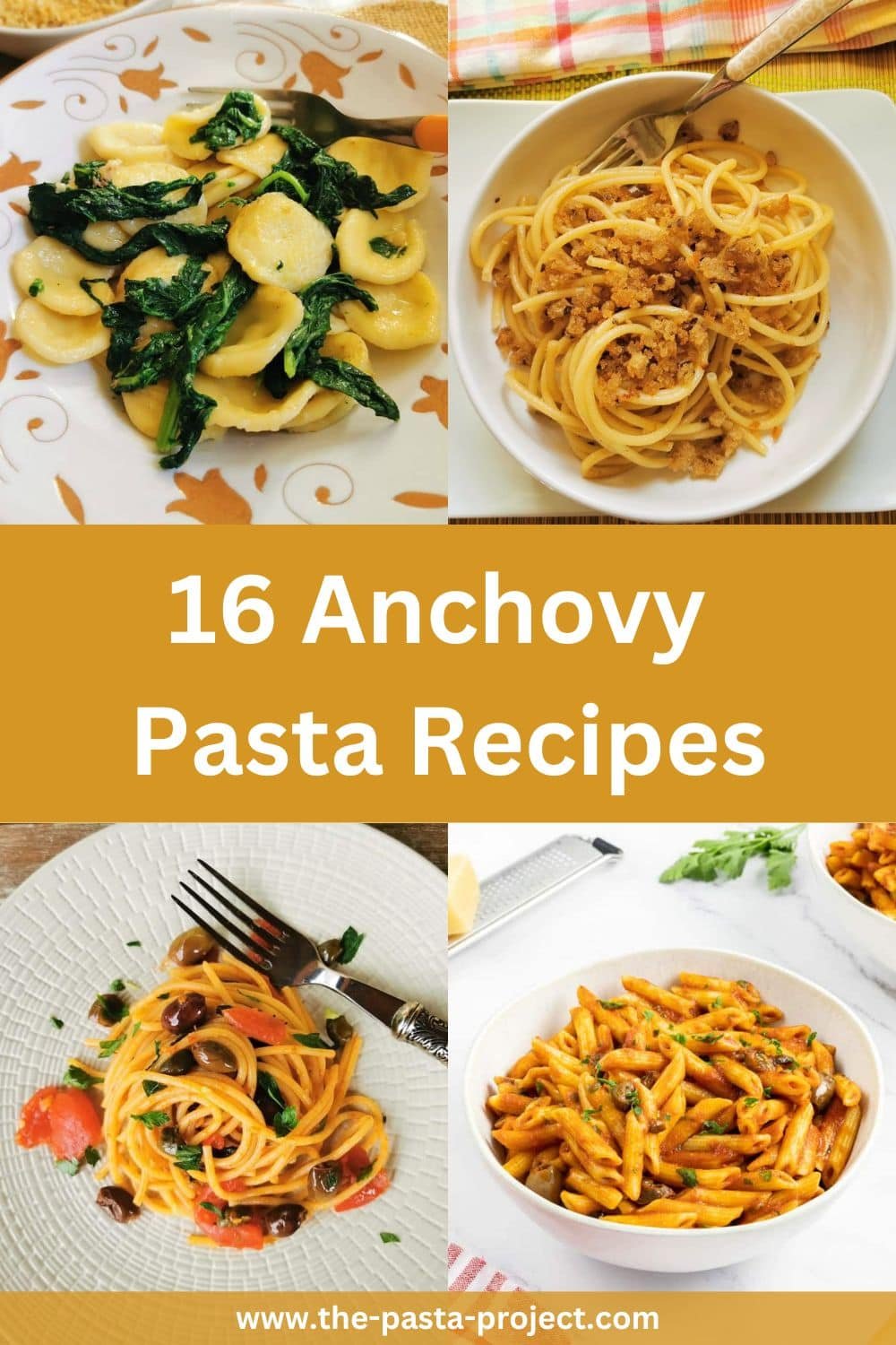 Anchovy pasta recipes.