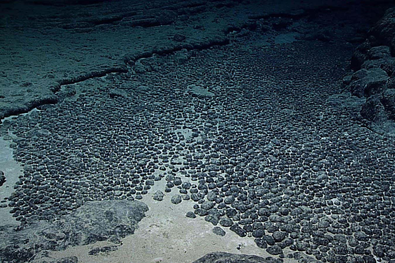 Dark Oxygen: New Deep Sea Expedition to explore mysterious discovery