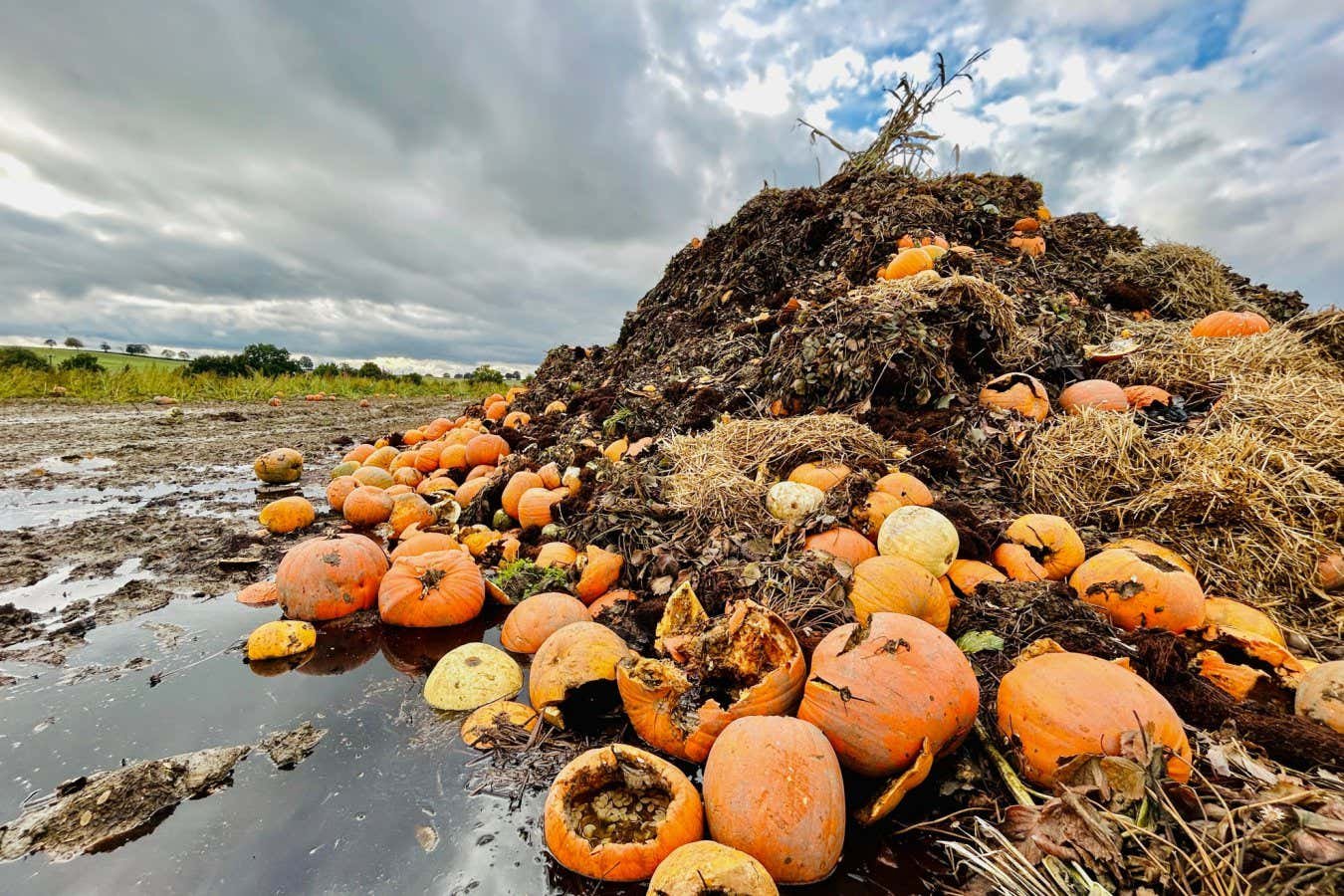Carbon-neutral hydrogen can be produced from agricultural waste