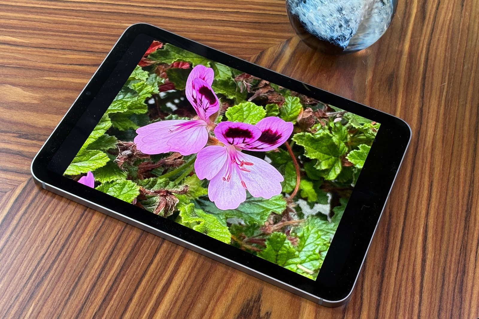 iPad Mini (A17 Pro, 2024): Buy now or Wait?