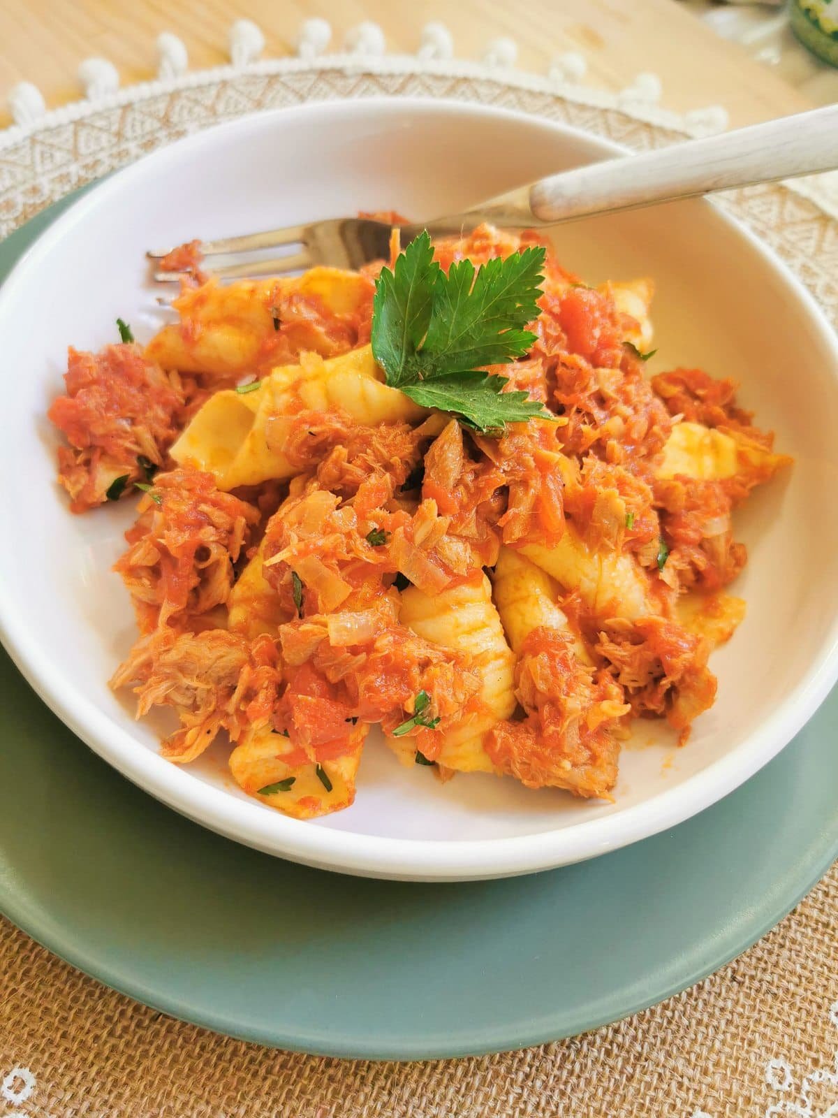 Italian pasta with tunbolognese in white bowl.