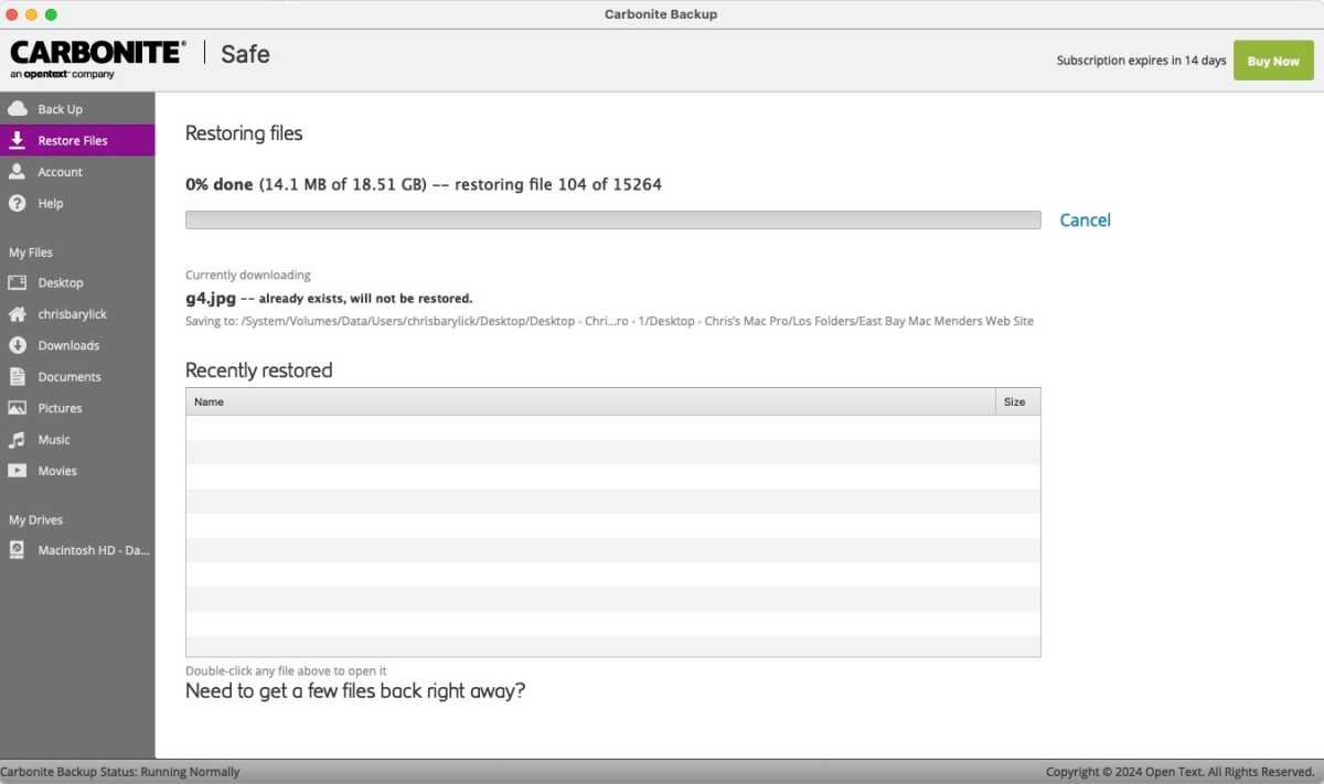 CarboniteSafe Restores Filer5