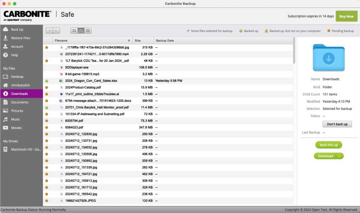 CarboniteSafe Backup 4