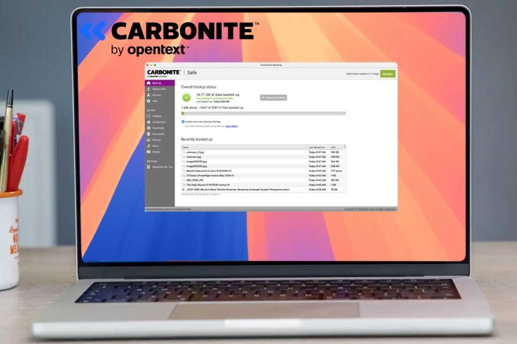 Carbonite Safe review