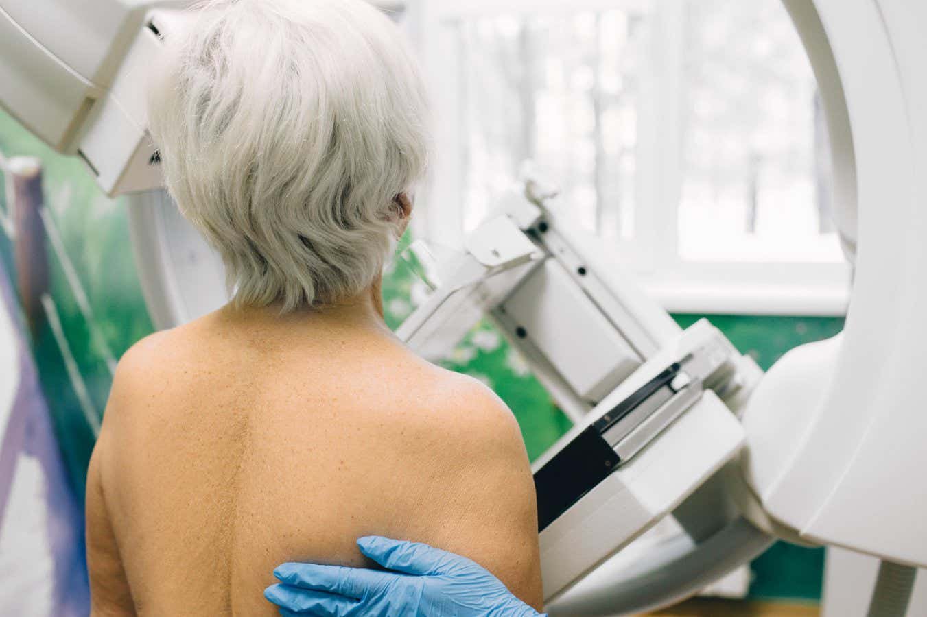 X -ray determination of manufacture could mammograms less painful