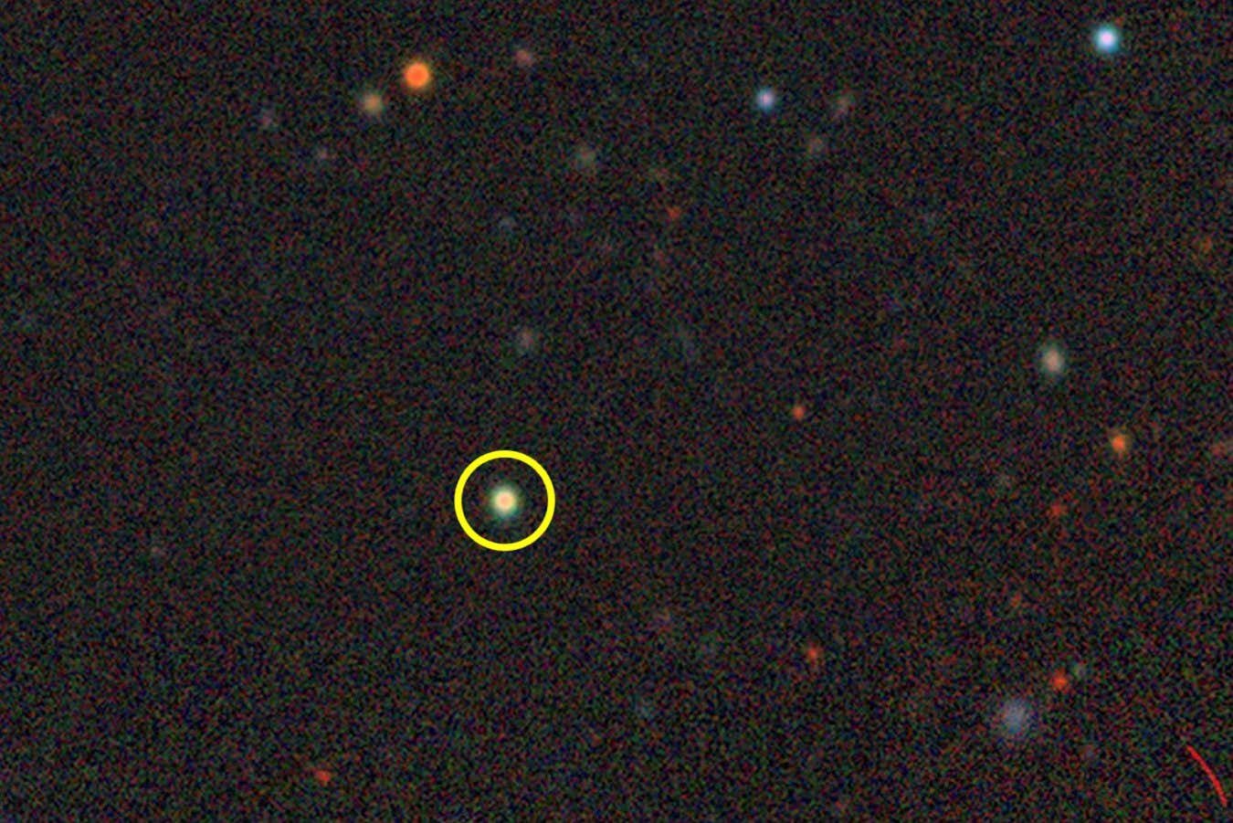Little red dot galaxies are now found in our local universe