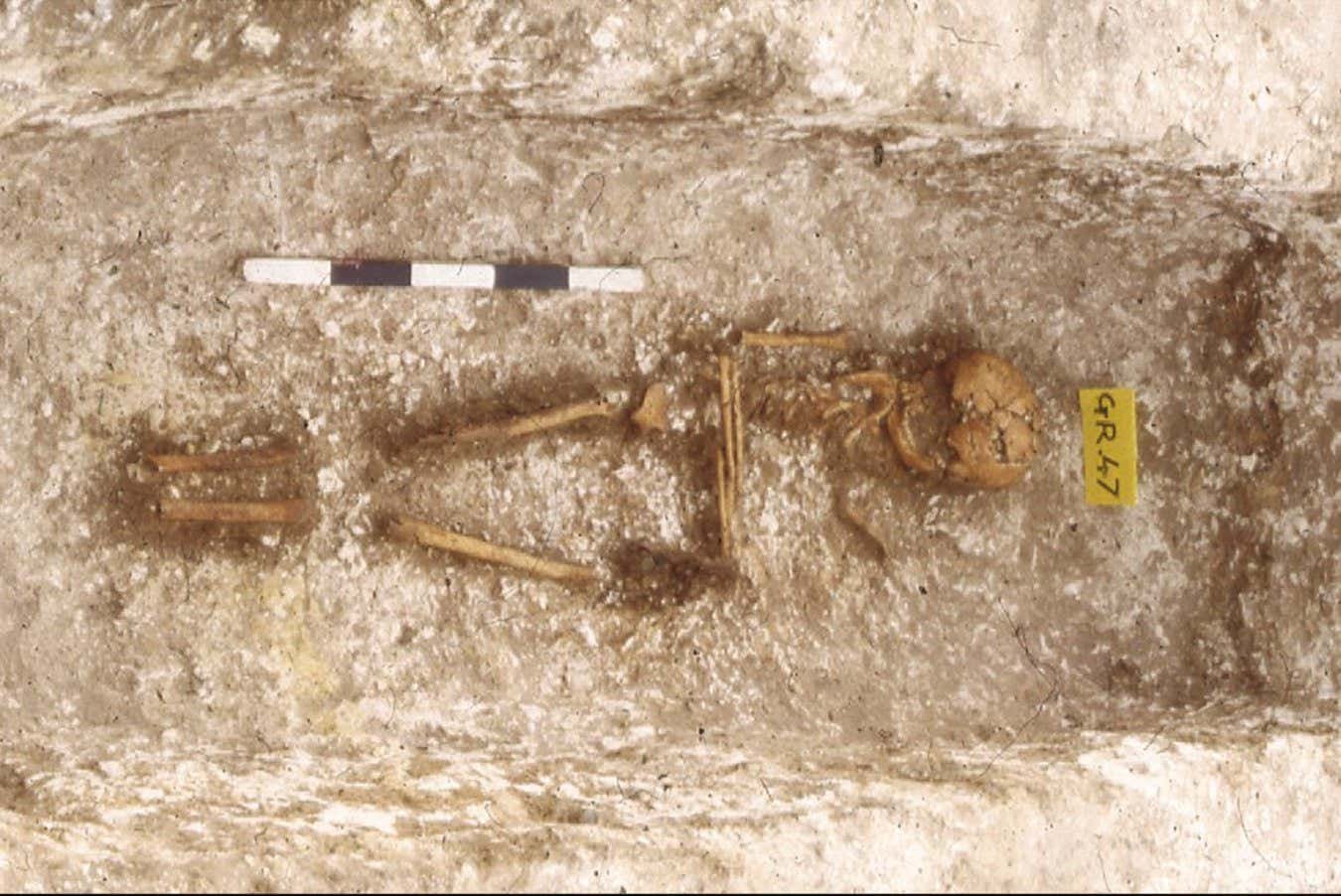 DNA -Analysis reveals West African ancestry in the early medieval England