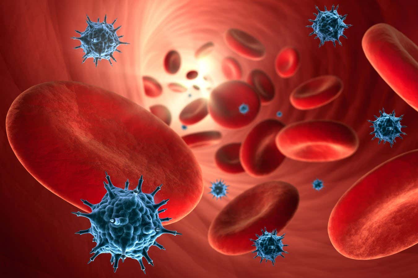 Covvi -19 seems to age blood vessels - but only among women