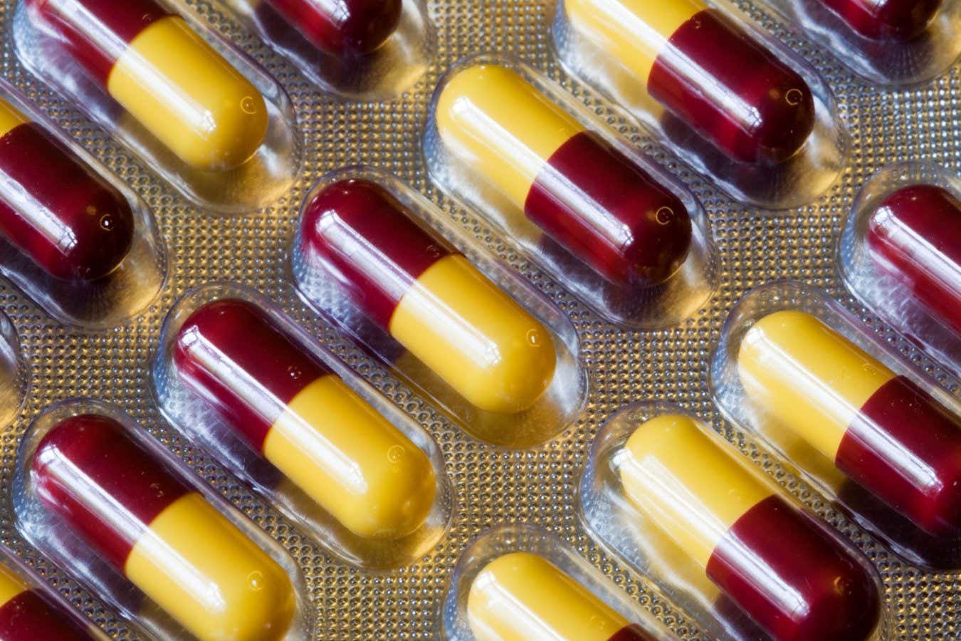 Normally donation of antibiotics the risk of autoimmune disorders