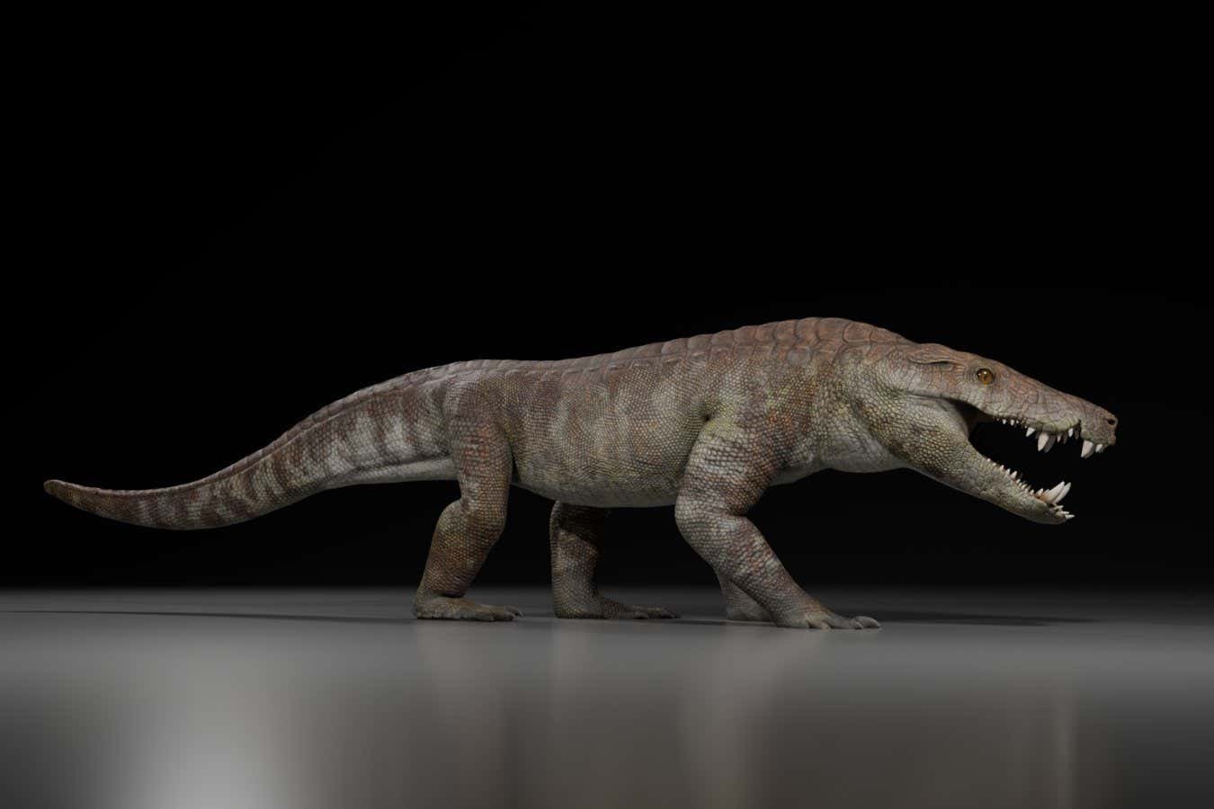 Ancient Crocodile -relatives could have ripped dinosaurs apart
