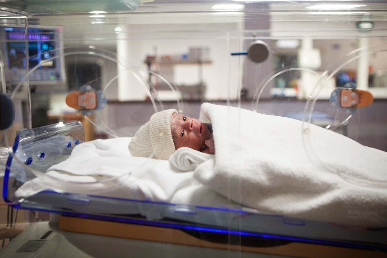 Mother's voice seems to increase the language development of premature babies