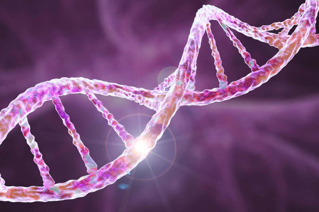 Untangling the genetics of fibromyalgia sheds new light on its causes